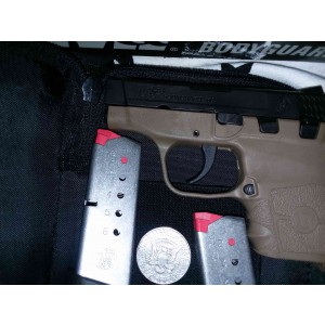 M&P BG380 NON-LASER, FDE